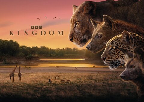 BBC Earth difuzează seria documentară „Regatul rivalilor”, filmată în Zambia
