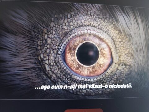 „Dinozaurii”, o serie documentară spectaculoasă, realizată de Steven Spielberg și narată de Morgan Freeman, din martie pe Netflix