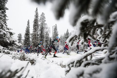 Noutățile lunii decembrie pe HBO Max: seriale, filme, documentare și sport