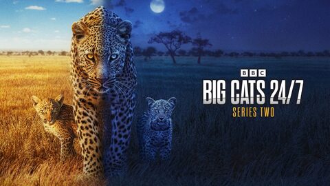„Totul despre feline” și o premieră despre India, în aprilie la BBC Earth